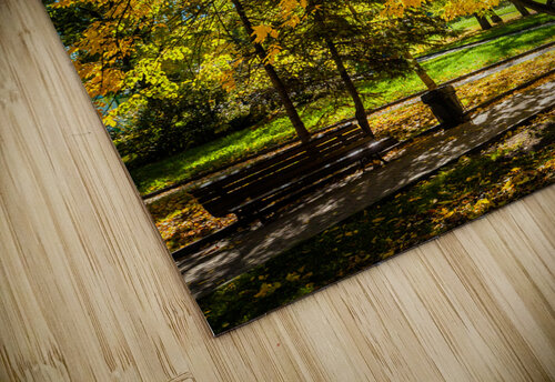 Autumn in park Dmitry Rukhlenko puzzle