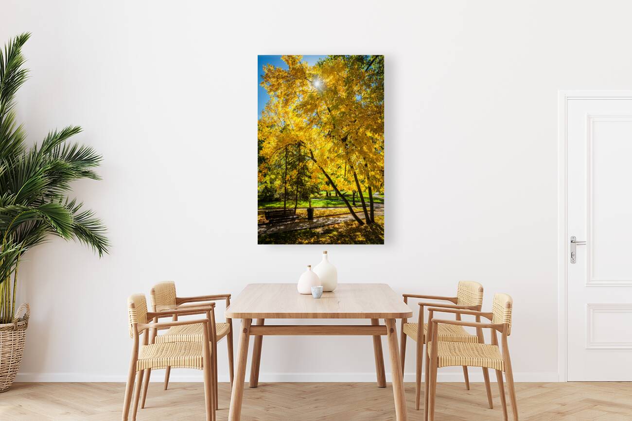 Autumn in park Reproduction