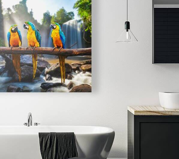 Blue and Yellow Macaw Ara ararauna by Dmitry Rukhlenko