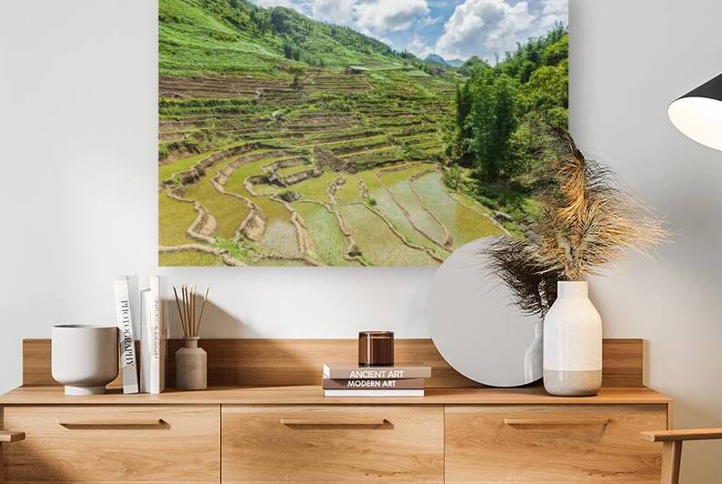 Rice field terraces. Near Sapa Vietnam by Dmitry Rukhlenko