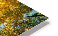 Autumn in park HD Metal print