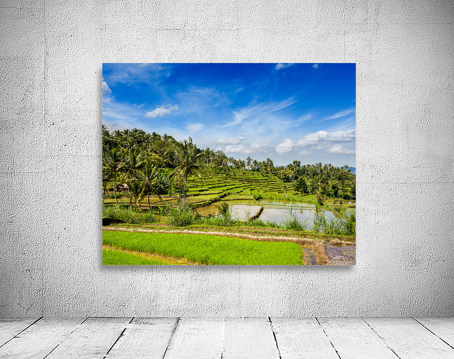 Green rice terraces Wall Preview
