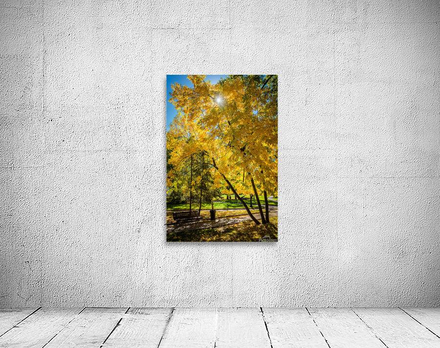Autumn in park Wall Preview