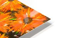 Fluffy HD Metal print