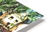 Pond City HD Metal print