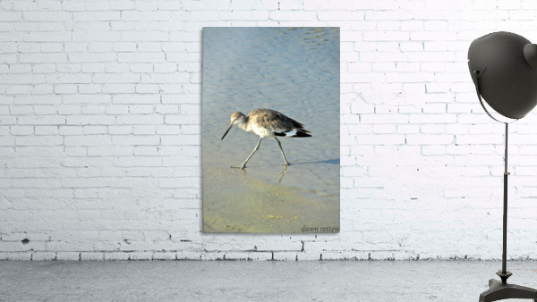 Ba Bum Bird Wall Preview