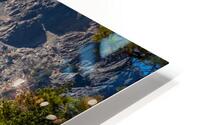 Tahoe Forest HD Metal print