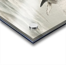 Breathtaking Spectacle Acrylic print