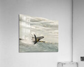 Breathtaking Spectacle Acrylic Print