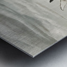 Breathtaking Spectacle Metal print