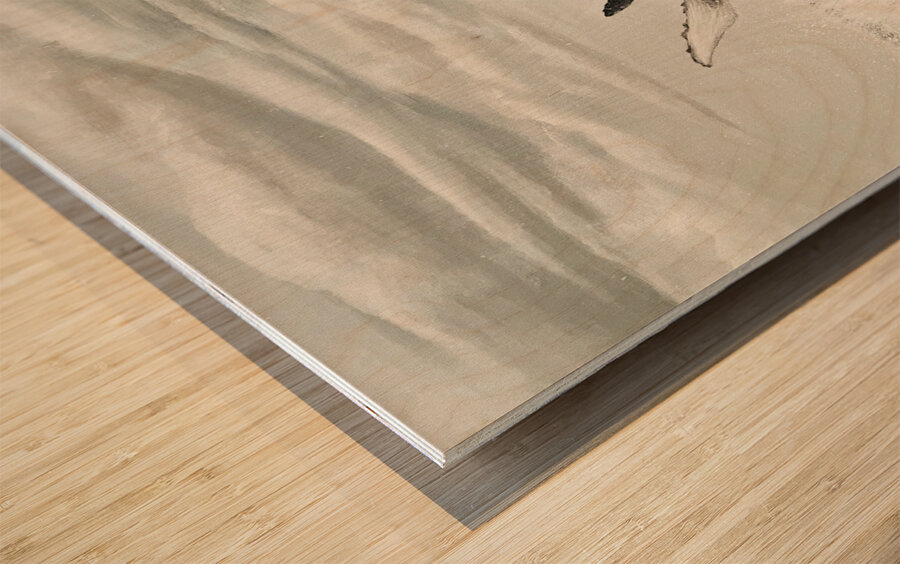 Breathtaking Spectacle Wood print