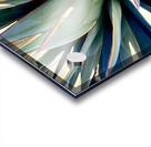 Yucca Explosion Acrylic print