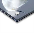 snowy Egret Acrylic print