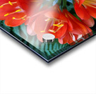 Clivia Acrylic print