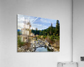 Tahoe Forest Acrylic Print
