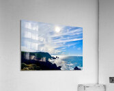 Bodega Head Acrylic Print