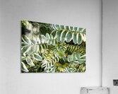 Jacobs Ladder Acrylic Print