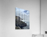 bodega Head Pelican Acrylic Print