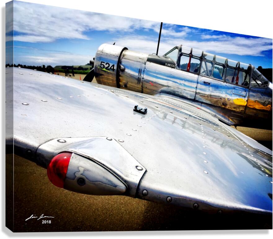 WWII Dive Bomber Canvas Print