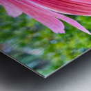 Cone Flower Metal print