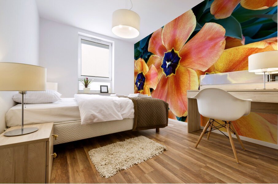 Tulip Explosion Mural print