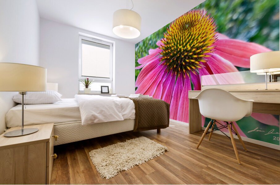 Cone Flower Mural print