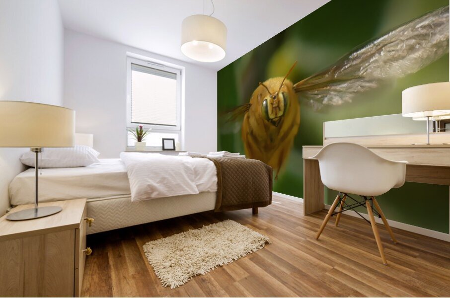 Teddy Bear Bee Mural print