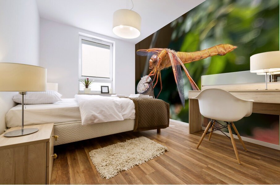 Dragonfly Resting Mural print