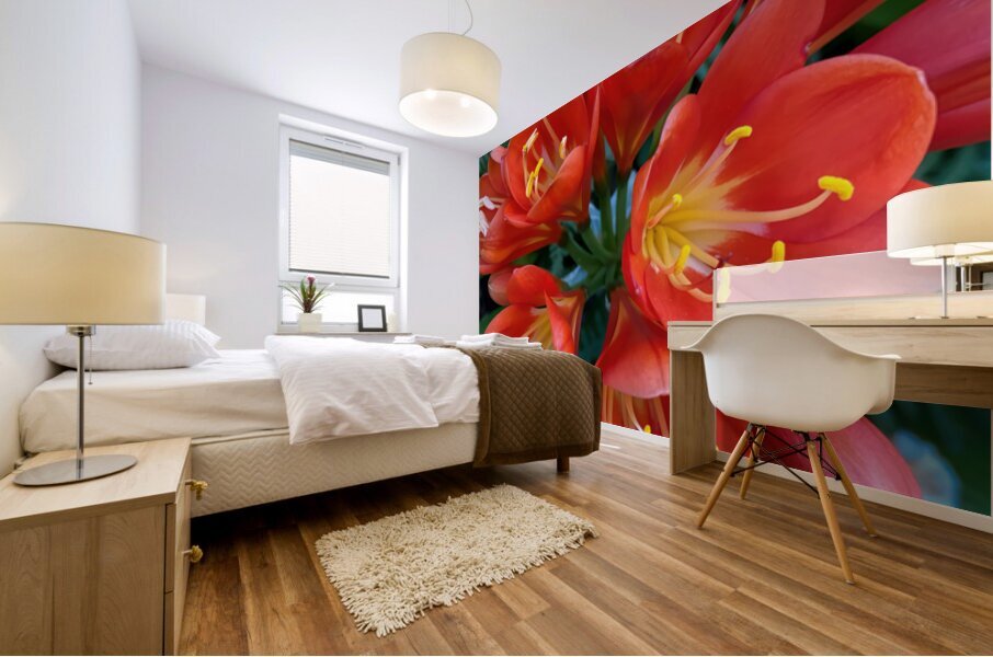 Clivia Mural print