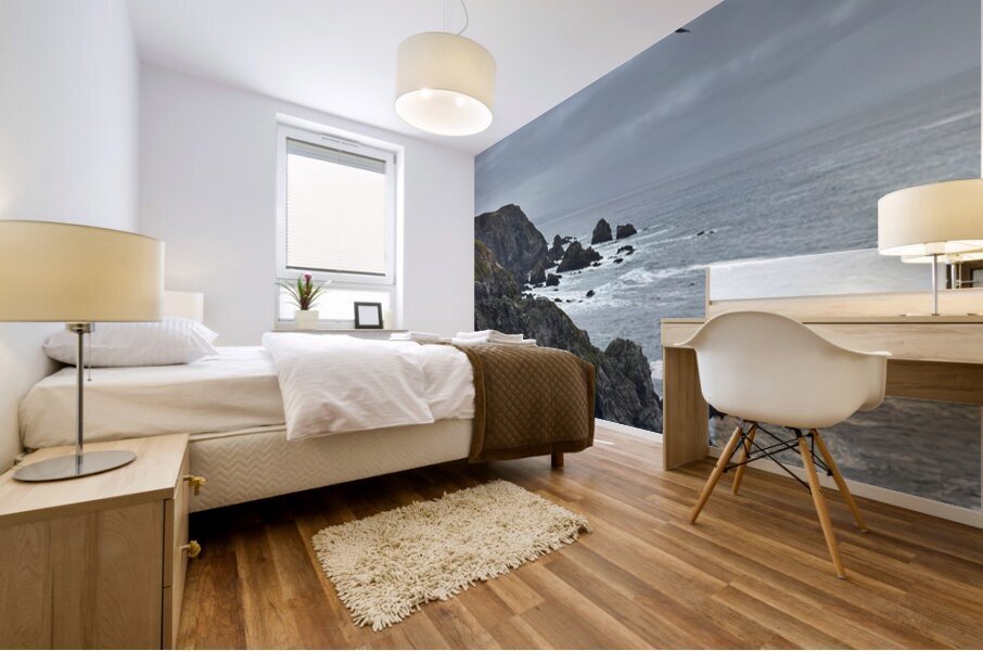 bodega Head Pelican Mural print