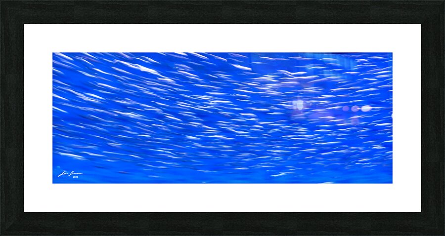 Humpback Dream Picture Frame print