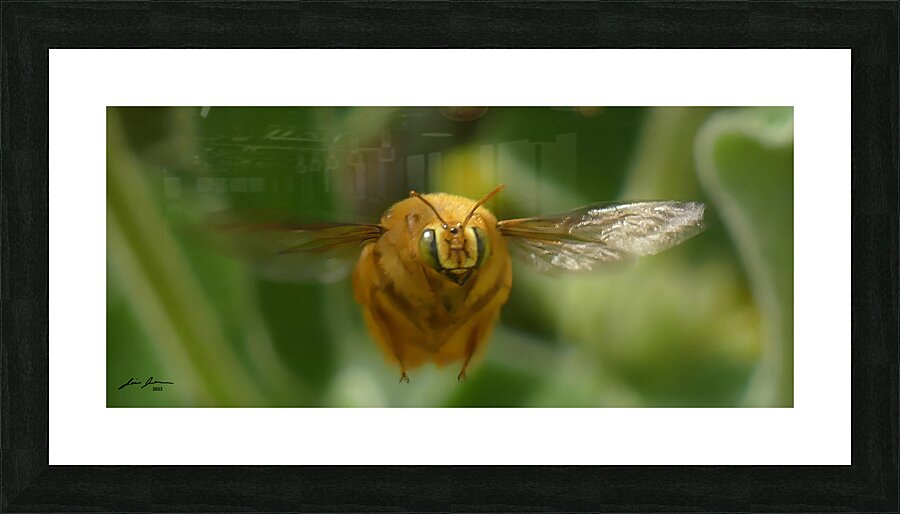 Teddy Bear Bee Picture Frame print