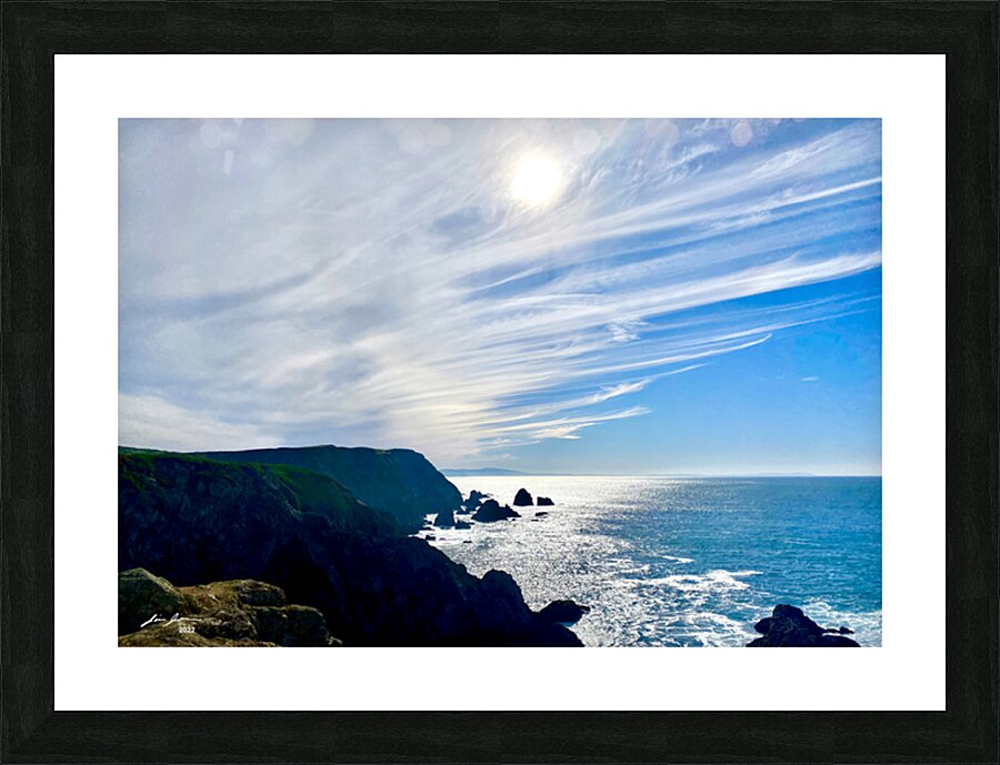 Bodega Head Picture Frame print