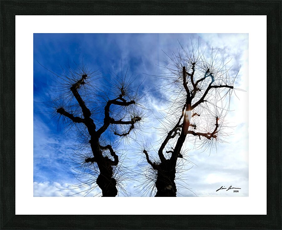 Winter Growth Picture Frame print
