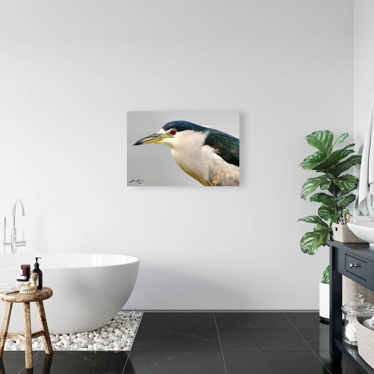 Night Heron Reproduction