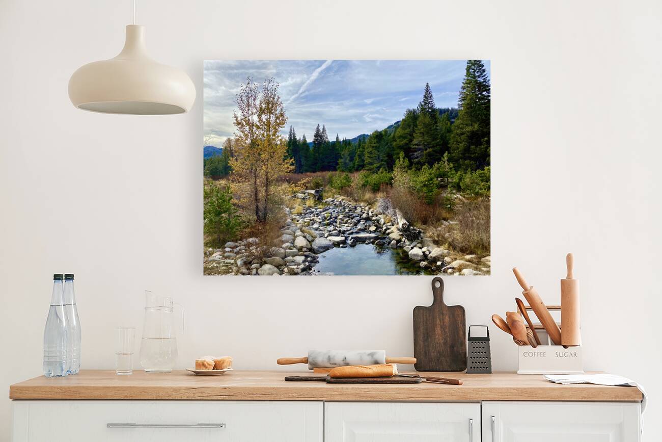Tahoe Forest Reproduction