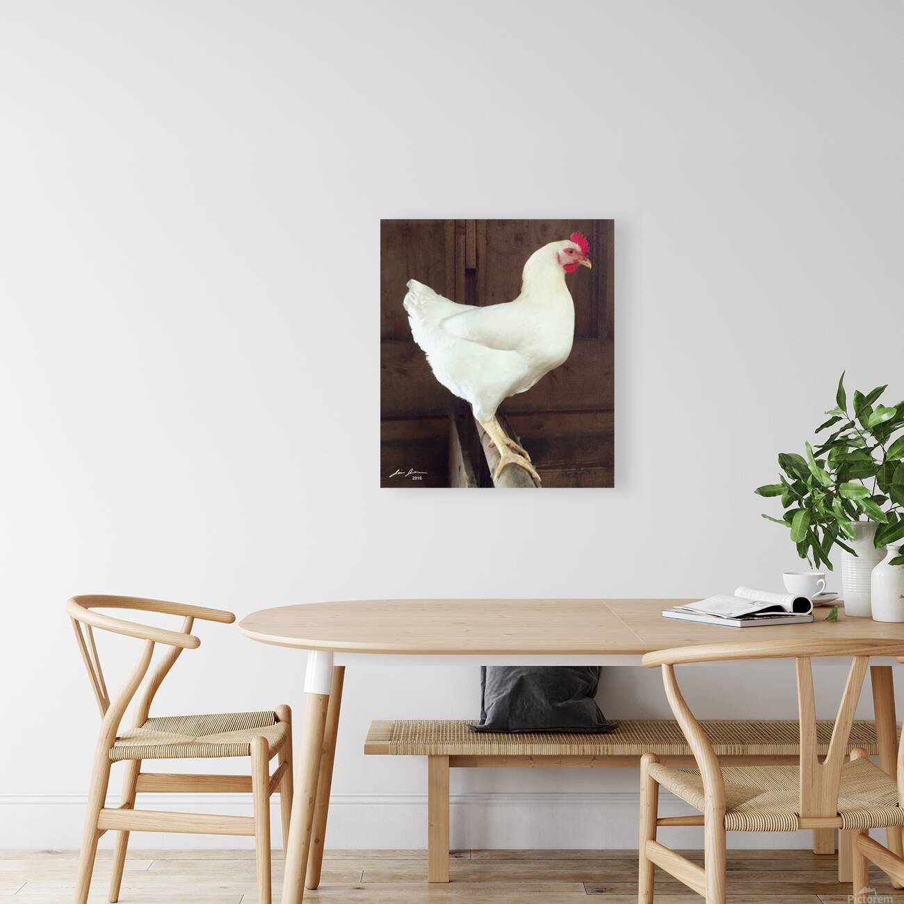White Rooster Reproduction