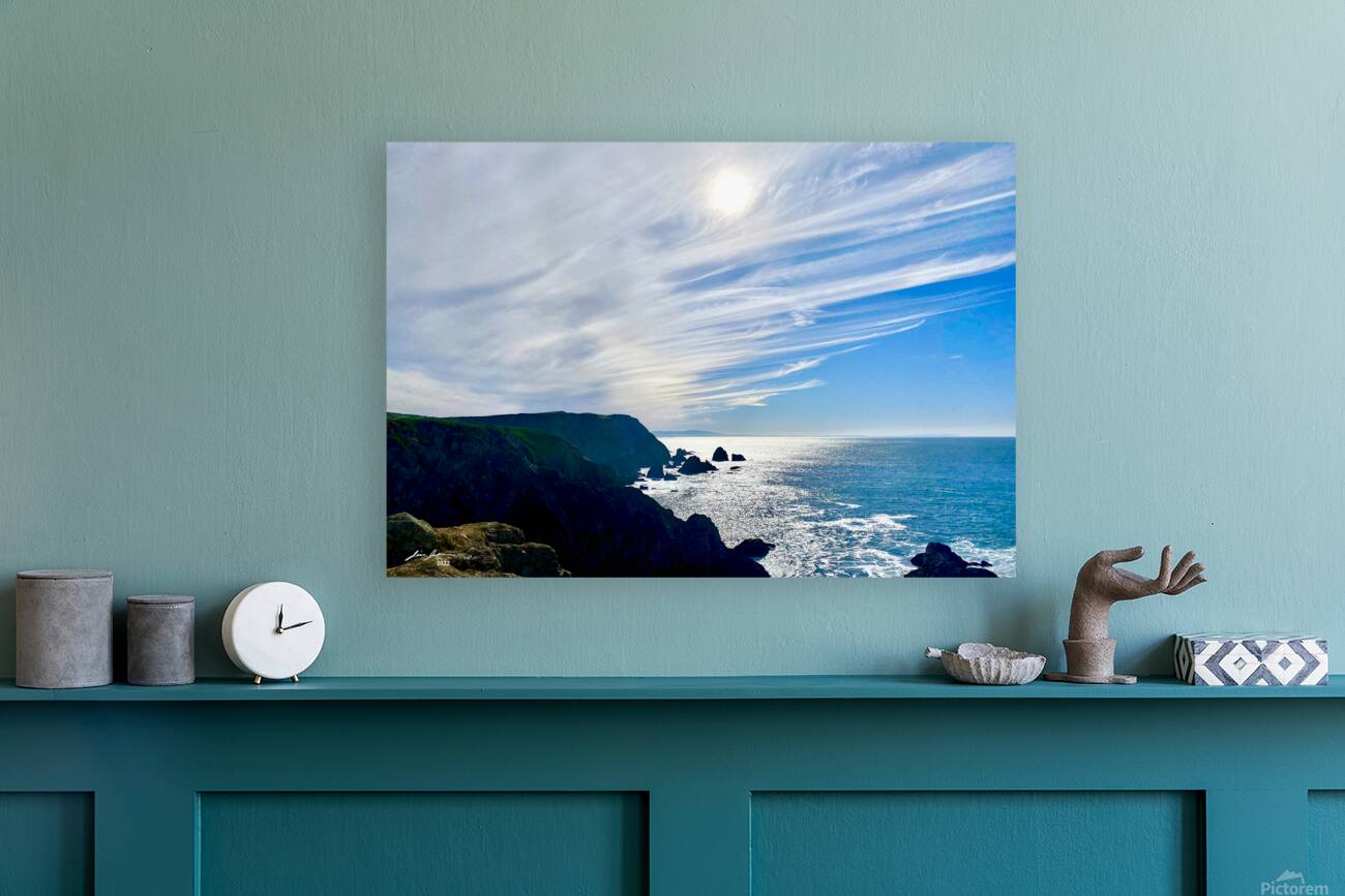 Bodega Head Reproduction