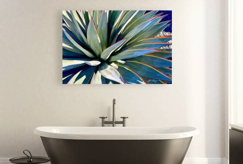 Yucca Explosion by Jim Jensen Photography