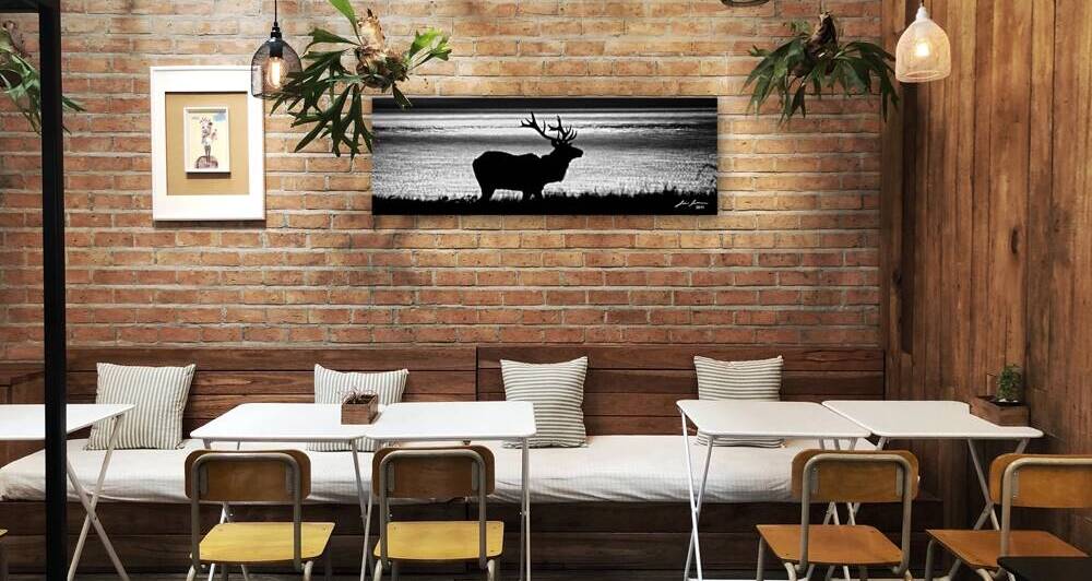 Elk in Sunset Pt. Reyes by Jim Jensen Photography