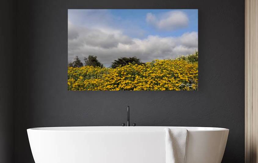 Half Moon Bay Flower Wall by Jim Jensen Photography