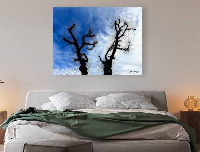 Winter Growth by Jim Jensen Photography