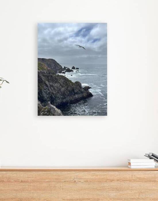 bodega Head Pelican by Jim Jensen Photography