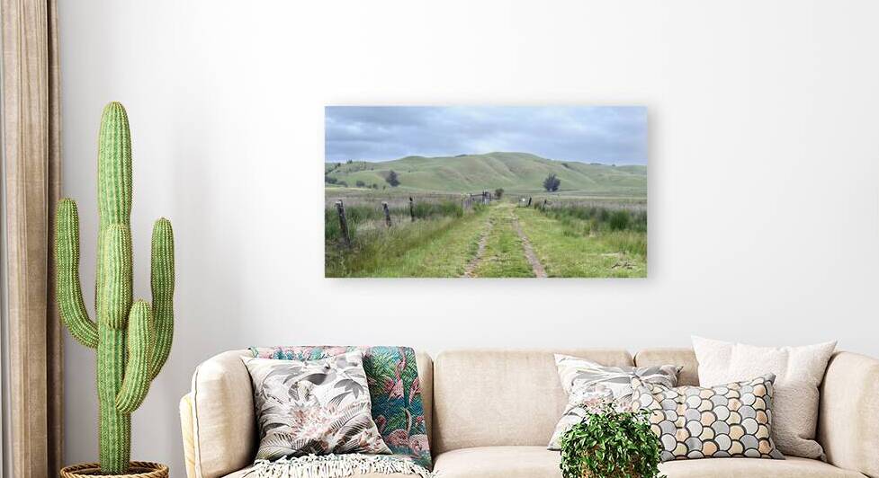 Petaluma Hike 1  by Jim Jensen Photography