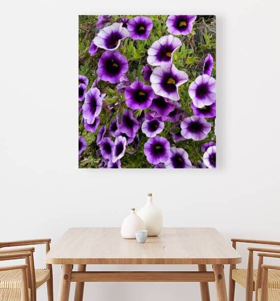 Purple Petunias by Jim Jensen Photography