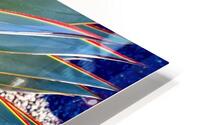 Yucca Explosion HD Metal print