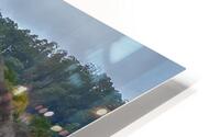Deer in Pacifica HD Metal print