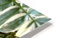 Jacobs Ladder HD Metal print
