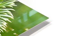 Thistle HD Metal print