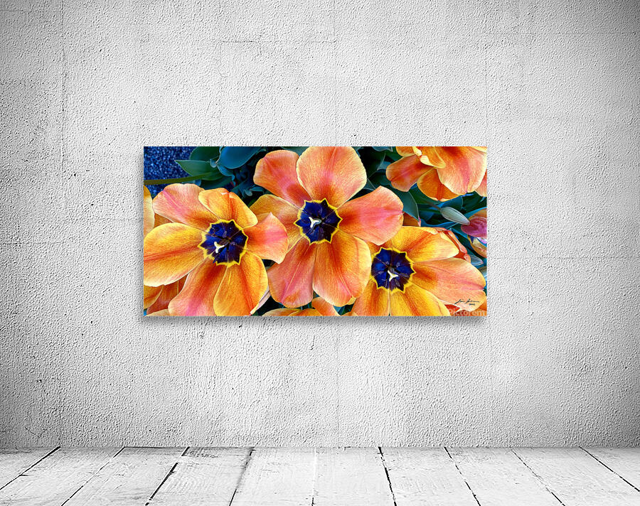 Tulip Explosion Wall Preview